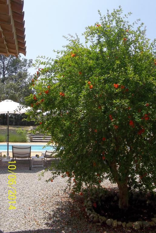 Maprovencale Bed & Breakfast Les Arcs-sur-Argens Exterior foto